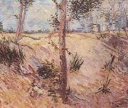 Vincent Van Gogh Trees in a Field on a Sunny Day (nn04) oil on canvas